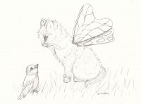 Faerie Kitten